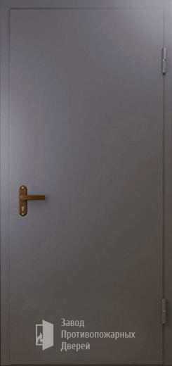 Фото двери «Техническая дверь №1 однопольная» в Рузе