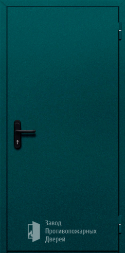 Фото двери «Однопольная глухая №16» в Рузе