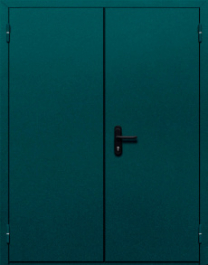Фото двери «Двупольная глухая №36» в Рузе