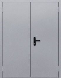 Фото двери «Двупольная глухая» в Рузе