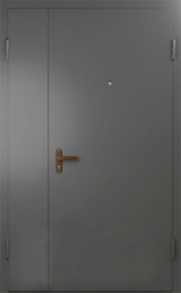 Фото двери «Техническая дверь №6 полуторная» в Рузе